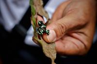 Costa Rica, Carara-Nationalpark