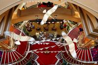 An Bord der Norwegian Star