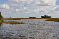 In den Everglades