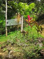 Ilhéus - an den Tijuipe-Wasserfällen