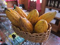 Ilhéus - Schokoladenshop 