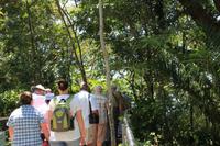 Rio de Janeiro - auf dem Weg hinauf zum Zuckerhut