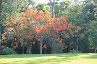 Foz do Iguaçu - Gartenanlage des Hotels