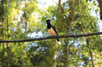 Iguazú-Wasserfälle - unterwegs im Nationalpark