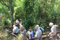 Iguazú-Wasserfälle - unterwegs im Nationalpark