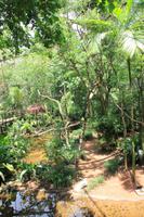 Foz do Iguaçu - im Vogelpark