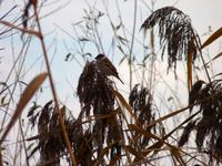 Herbststimmung am Jamser See