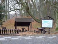 Alter Burgwall in Mielno