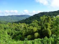 Faszination Kuba: Zigarren, Rum, karibisches Flair - Rundreise - Exkursion nach Guanayara (Sierra del Escambray)
