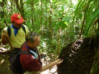Faszination Kuba - Rundreise - Exkursion nach Guanayara Park (Sierra del Escambray)