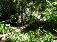 Faszination Kuba - Rundreise - Exkursion nach Guanayara Park (Sierra del Escambray)