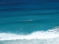 Surfer Südafrika