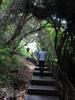Kleine Wanderung - Tsitsikamma-Nationalpark