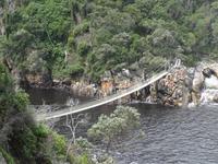 Kleine Wanderung - Tsitsikamma-Nationalpark