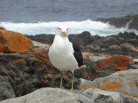 Tsitsikamma-Nationalpark