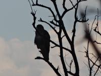 Pilanes-Nationalpark