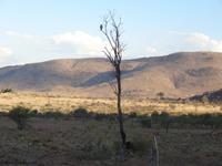 Pilanes-Nationalpark