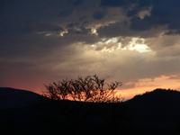 Der Himmel knistert gen Abend im Nationalpark