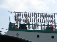 Bootsfahrt in Hongkong