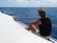 Bootsfahrt zum Great Barrier Reef - Australien