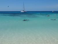 Schnorcheln am Great Barrier Reef