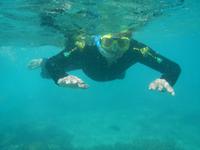 Schnorcheln am Great Barrier Reef