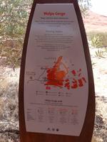 Wanderweg bei den Kata Tjuta