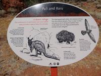 Tierwelt, Kata Tjuta 