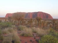 Farbspiel am Uluru
