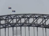 Mutige überqueren zu Fuss die Harbour Bridge