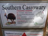 Besuch im Featherdale Wildlife Park