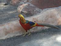 Besuch im Featherdale Wildlife Park