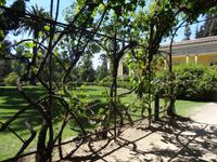 Besuch des Weingutes Concha y Toro