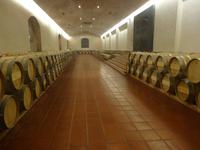 Besuch des Weingutes Concha y Toro