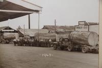 Im Kauri-Museum Matakohe