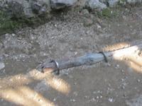 Bleierne Wasserleitung