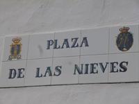 P1010851