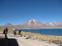 IMG_4011 Zu Besuch an den Lagunen Meniques und Miscanti