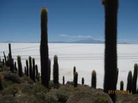 IMG_4133 die Insel Incahuasi