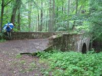 im Nationalpark Podyji