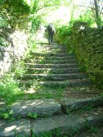Winzerweg nach Prosecco