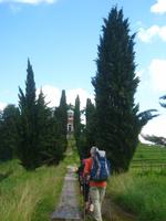Weinwanderwege im Collio