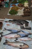 Morgenmarkt Luang Prabang