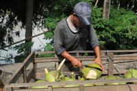 Kokosnuss - Mmmhh...