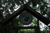 Chiang-Dao Elefantencamp