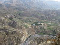 IMG_4398 Einblicke in das Colca Tal