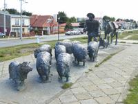 Schäfer von Grimaldi in Punta Arenas