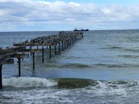Pier in Punta Arenas