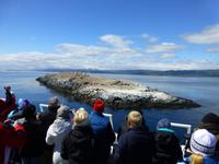 Katamaranfahrt in Feuerland