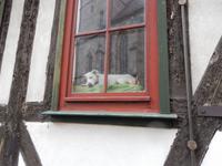 hier ist`s gemütlich